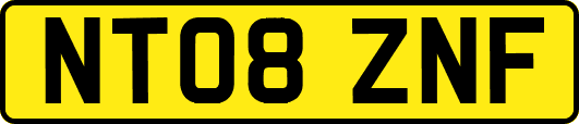 NT08ZNF