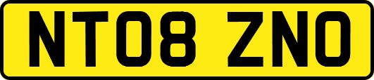 NT08ZNO