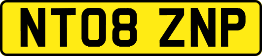 NT08ZNP