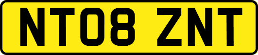 NT08ZNT