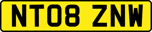 NT08ZNW