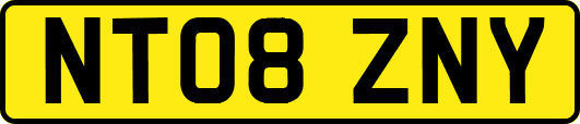 NT08ZNY