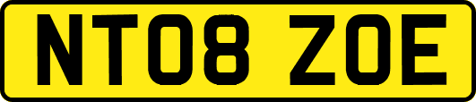 NT08ZOE