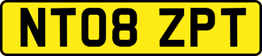 NT08ZPT