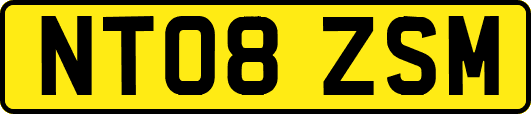 NT08ZSM