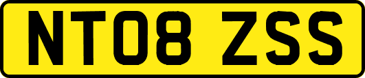 NT08ZSS