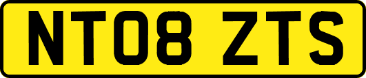NT08ZTS