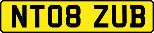 NT08ZUB
