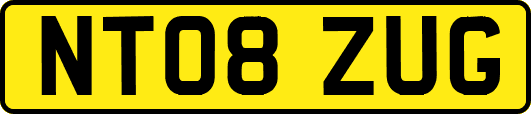 NT08ZUG