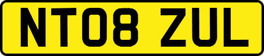 NT08ZUL