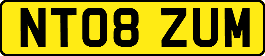 NT08ZUM
