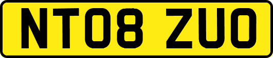 NT08ZUO