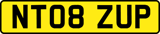 NT08ZUP
