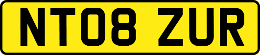 NT08ZUR