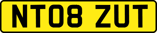 NT08ZUT