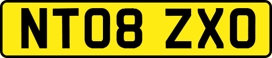 NT08ZXO