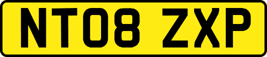 NT08ZXP
