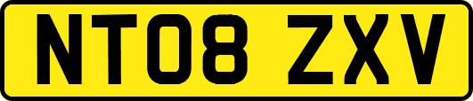 NT08ZXV