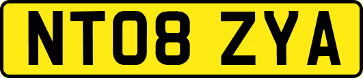 NT08ZYA