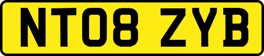 NT08ZYB