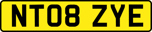 NT08ZYE