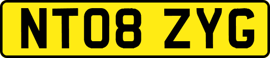 NT08ZYG