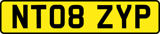 NT08ZYP
