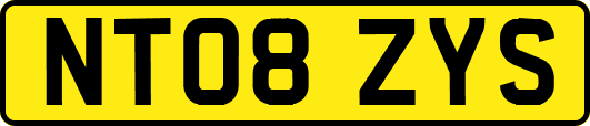 NT08ZYS