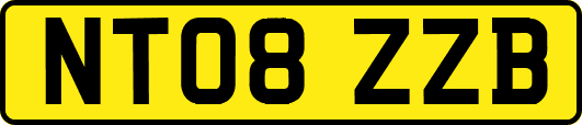 NT08ZZB