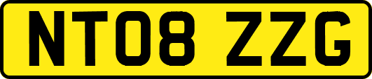 NT08ZZG
