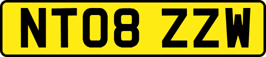 NT08ZZW