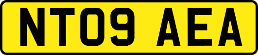 NT09AEA
