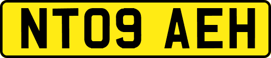 NT09AEH
