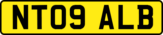 NT09ALB