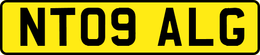 NT09ALG