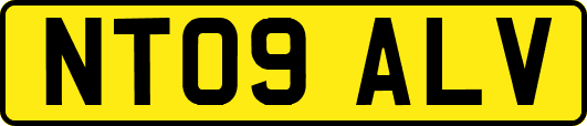 NT09ALV