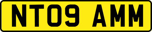 NT09AMM