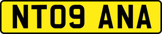 NT09ANA