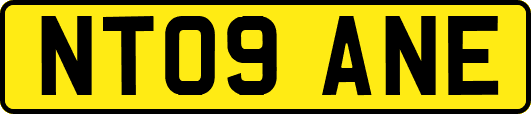 NT09ANE