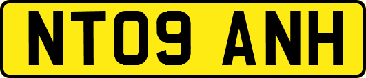 NT09ANH