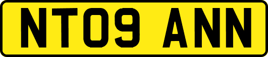 NT09ANN