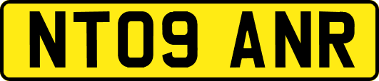 NT09ANR