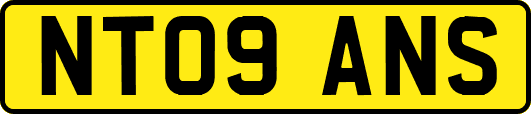 NT09ANS