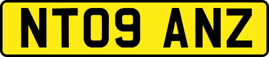 NT09ANZ