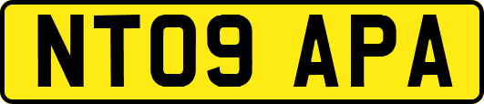NT09APA