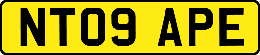 NT09APE