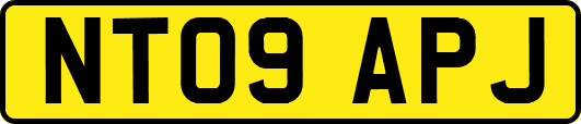 NT09APJ
