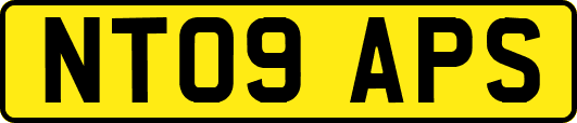 NT09APS