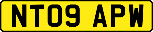 NT09APW