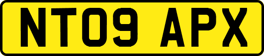 NT09APX
